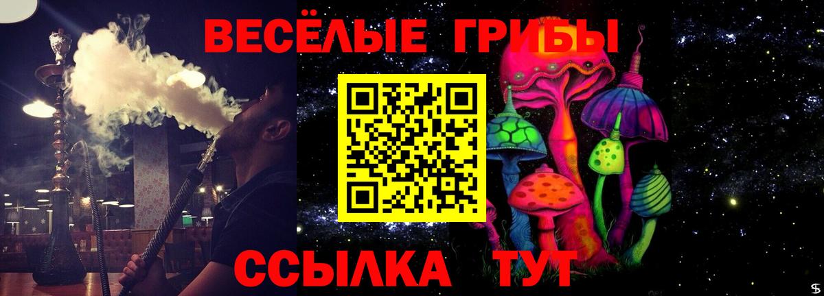 Галлюциногенные грибы Psilocybe Сланцы